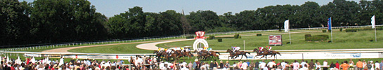 Horse racing, Foto: Hinz